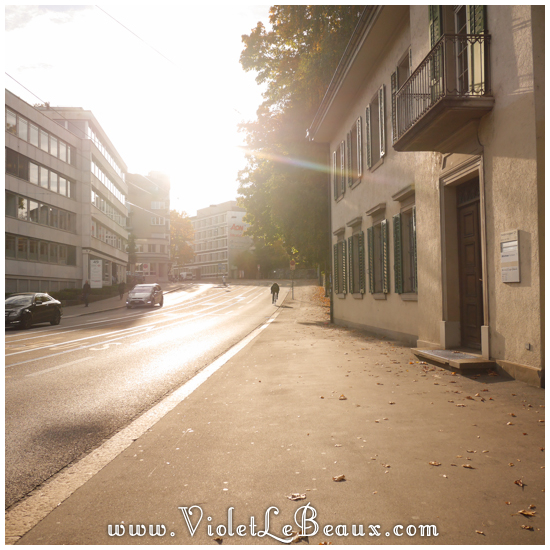European-Scenery-VioletLeBeaux20153